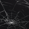 BLACK WEB