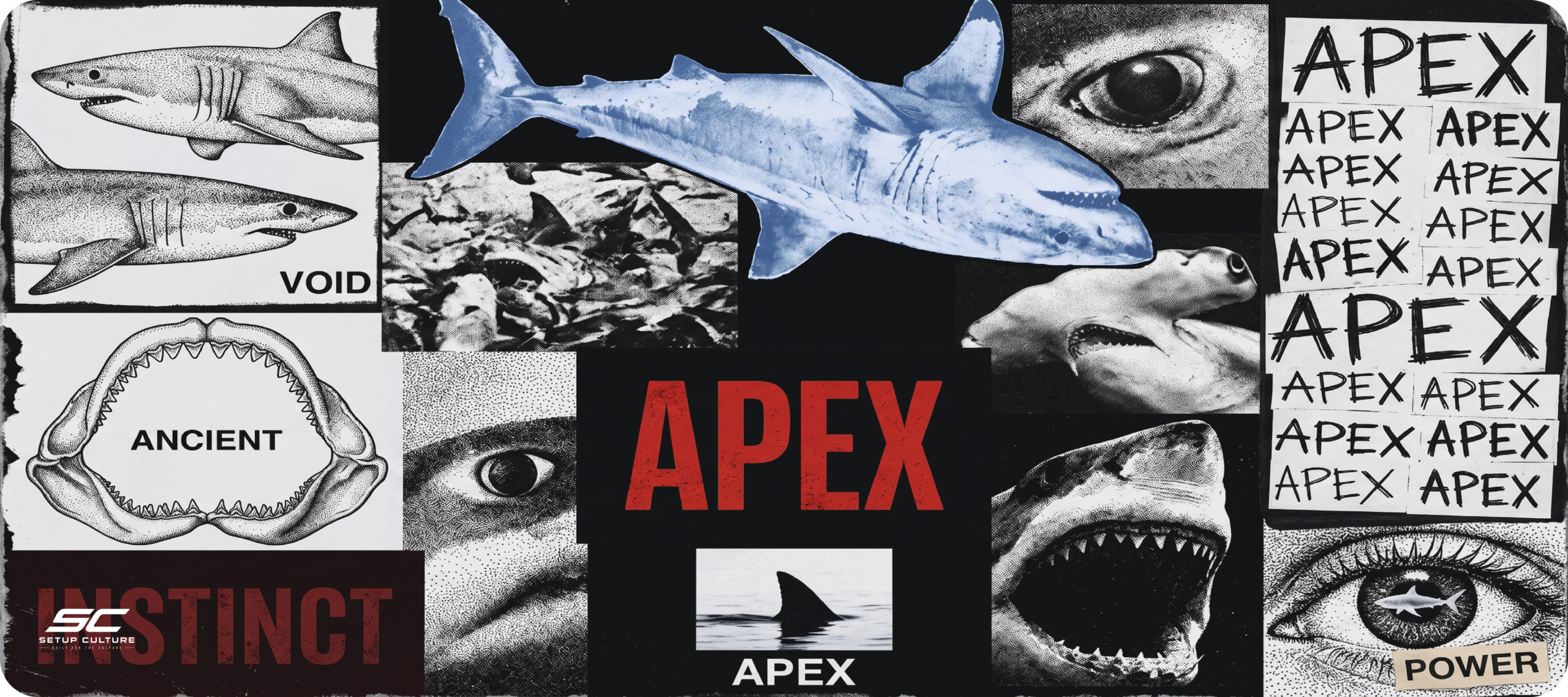 SHARK COMIC