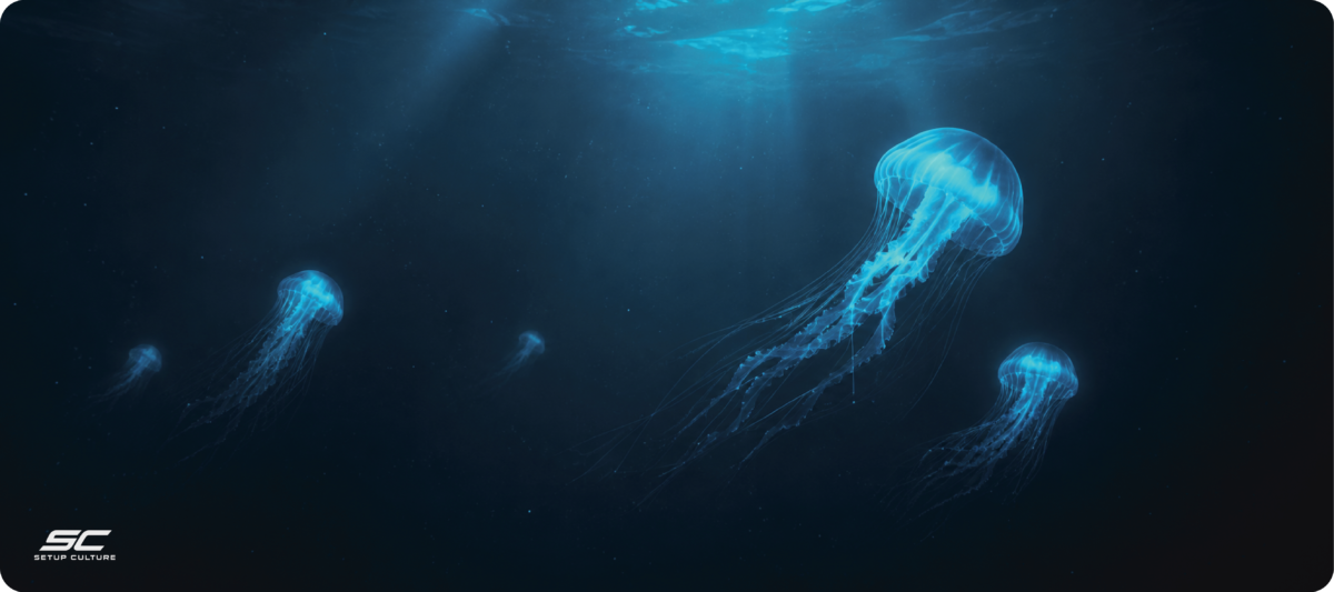 JELLY FISH NIGHT
