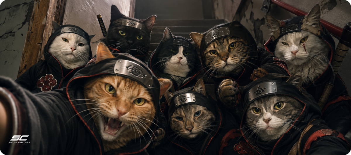 FELINE BROTHERHOOD