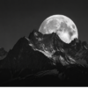 MOONFALL