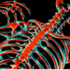 2D SKELETON