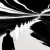 FOLLOW THE LIGHT